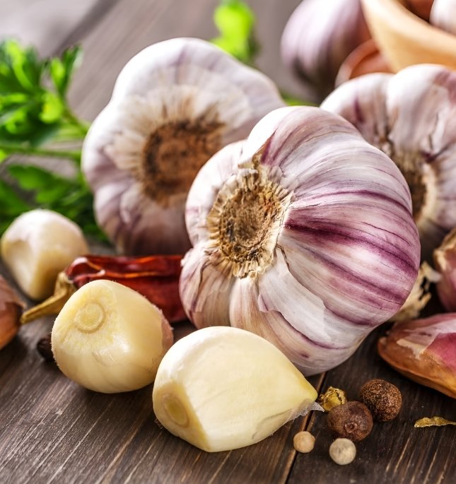 ASPALLIUM S.L. Garlic