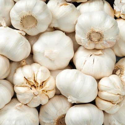 Jinko Tiger Neo 510W