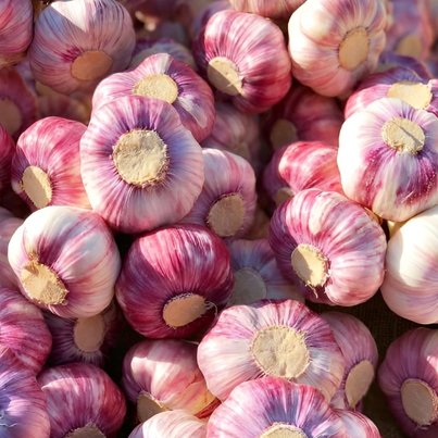 GroWatt Hybrid 3kW 1P Solar Inverter