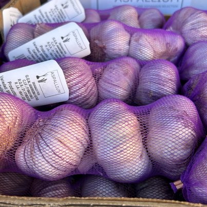 Fronius Symo Advanced 20kW 3P Inverter