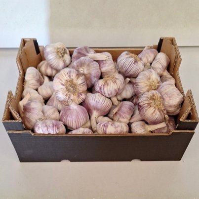 Growatt 8kW 1P Solar Inverter