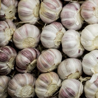 Fronius Gen24 1P 5kW Primo Inverter