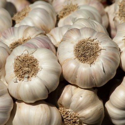 Fronius Gen24 Primo 1P 10kW Inverter