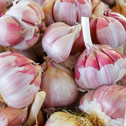 Suntech 440W N-Type Bi-Facial